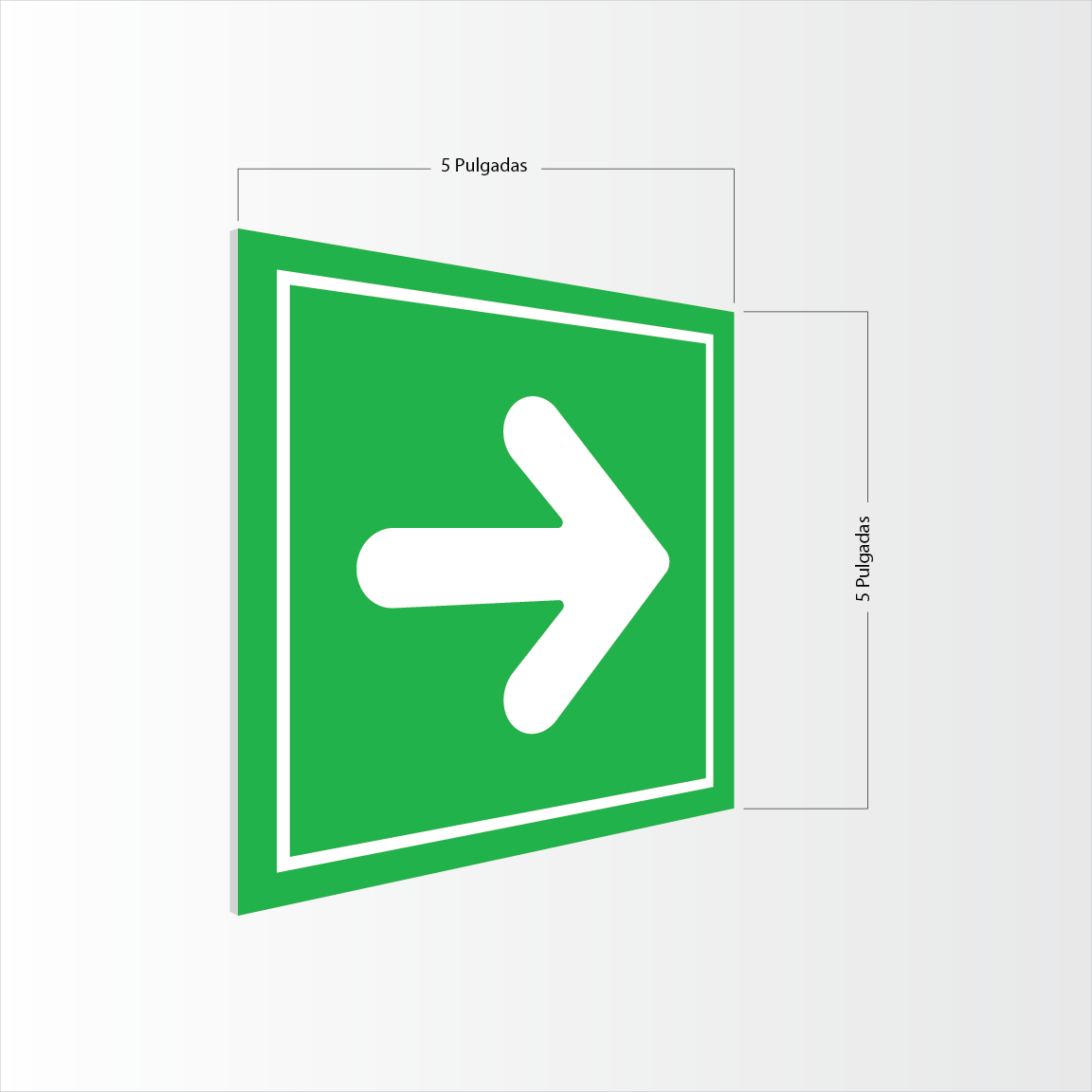 Flechas de Dirección - Ruta de Evacuación